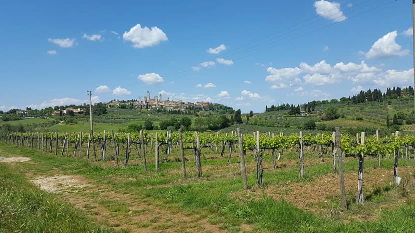 Florence to San Gimignano by Bus: Direct Route vs Poggibonsi Change