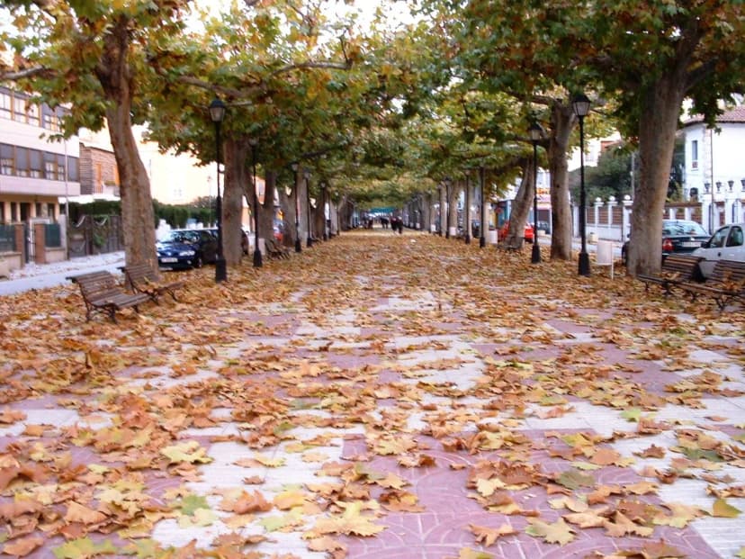 Valencia to Requena: Trains, Replacement Buses & Town Transfers