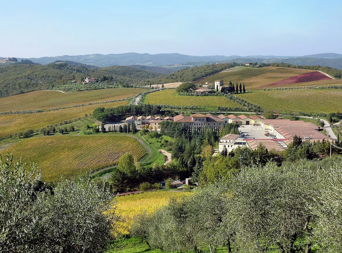 Wine-growing holding in the Chianti region